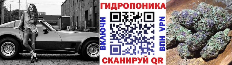 Что такое Новороссийск ГАШ  Канабис  МЕФ 