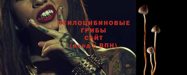 круглые Алзамай